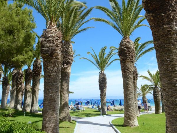 Strand mit Palmen in Trianda