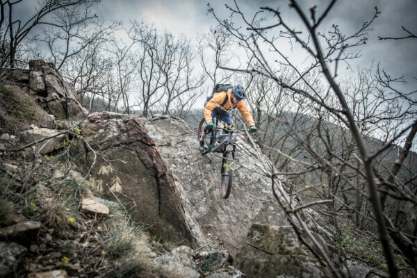 Mountainbiker im Wald