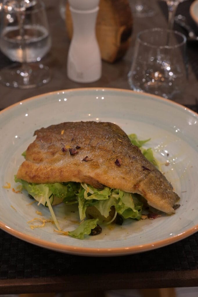 Retter Sports Destination