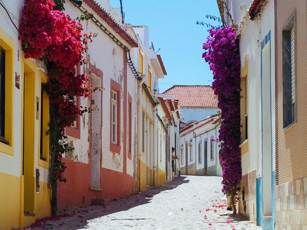 Retter Sports Destination