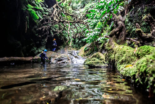 Retter Sports Destination