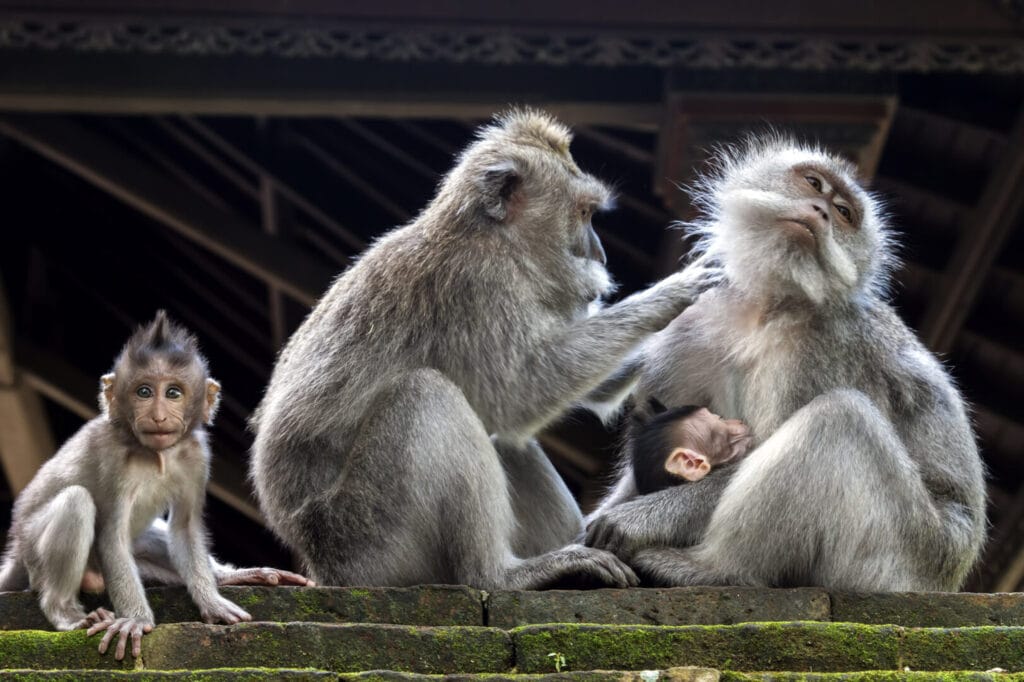 Retter Sports Destination